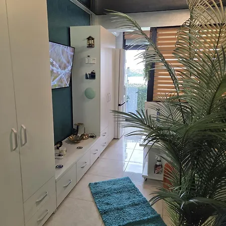 Apartment Turquoisestudiouconstanta Constanta