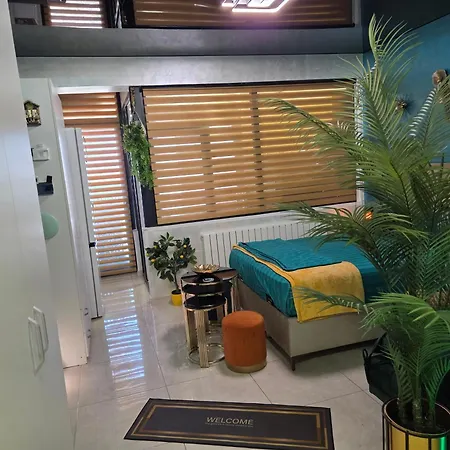 Turquoisestudiouconstanta Apartment *