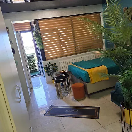 Turquoisestudiouconstanta * Constanta