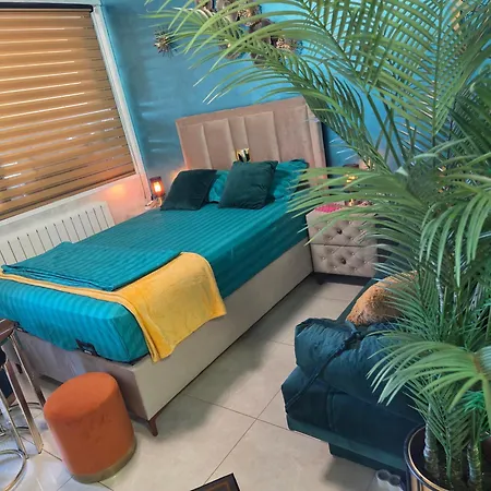 Turquoisestudiouconstanta * Constanta